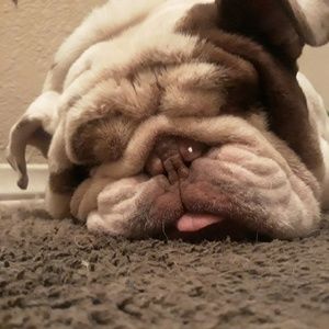 Meet your Posher, Edward